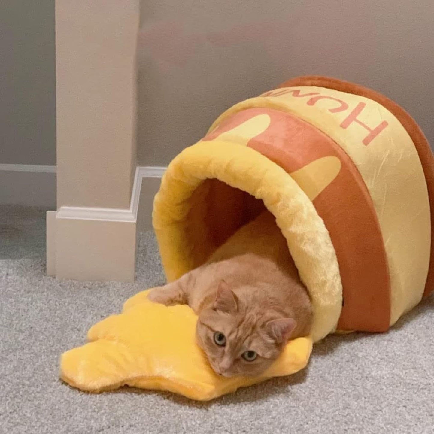 Honey Jar Cat Bed - FREE SHIPPING