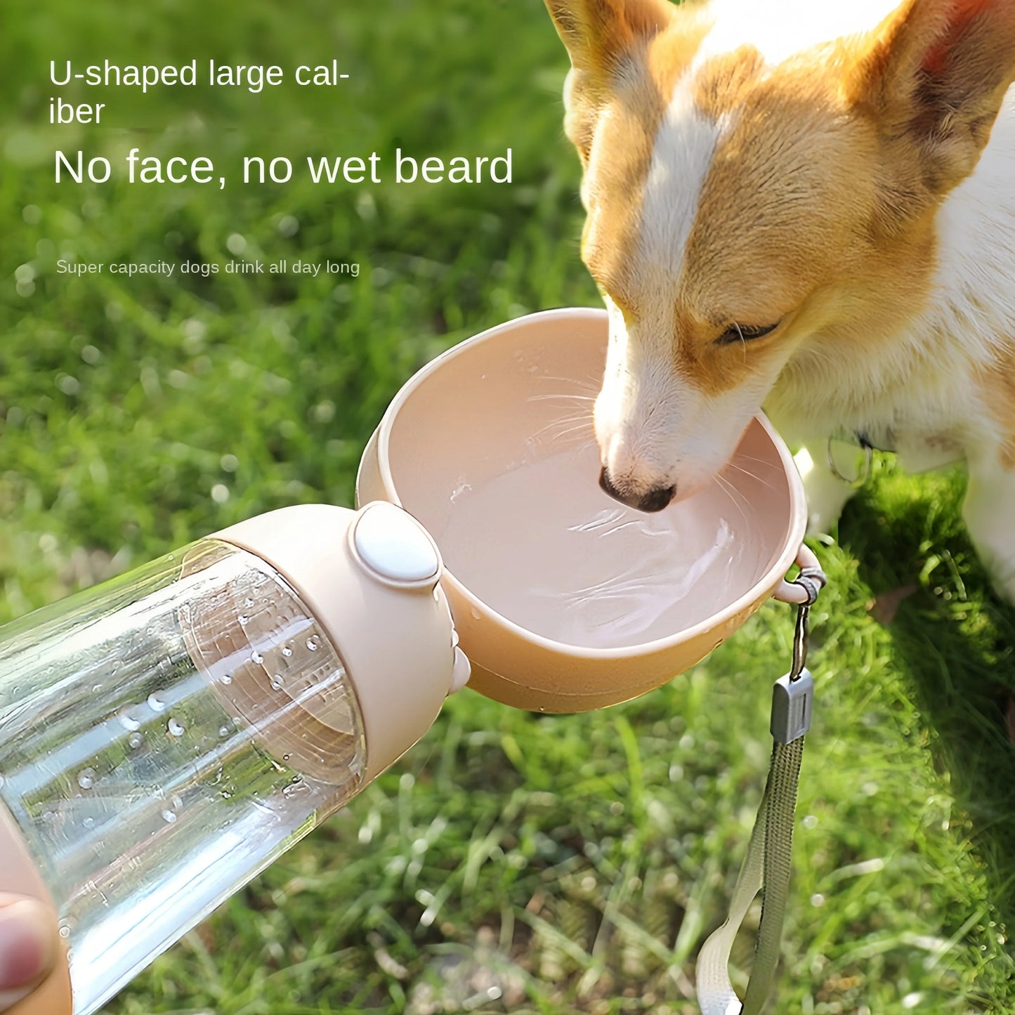 Dog Portable Water Bowl - FREE SHIPPING