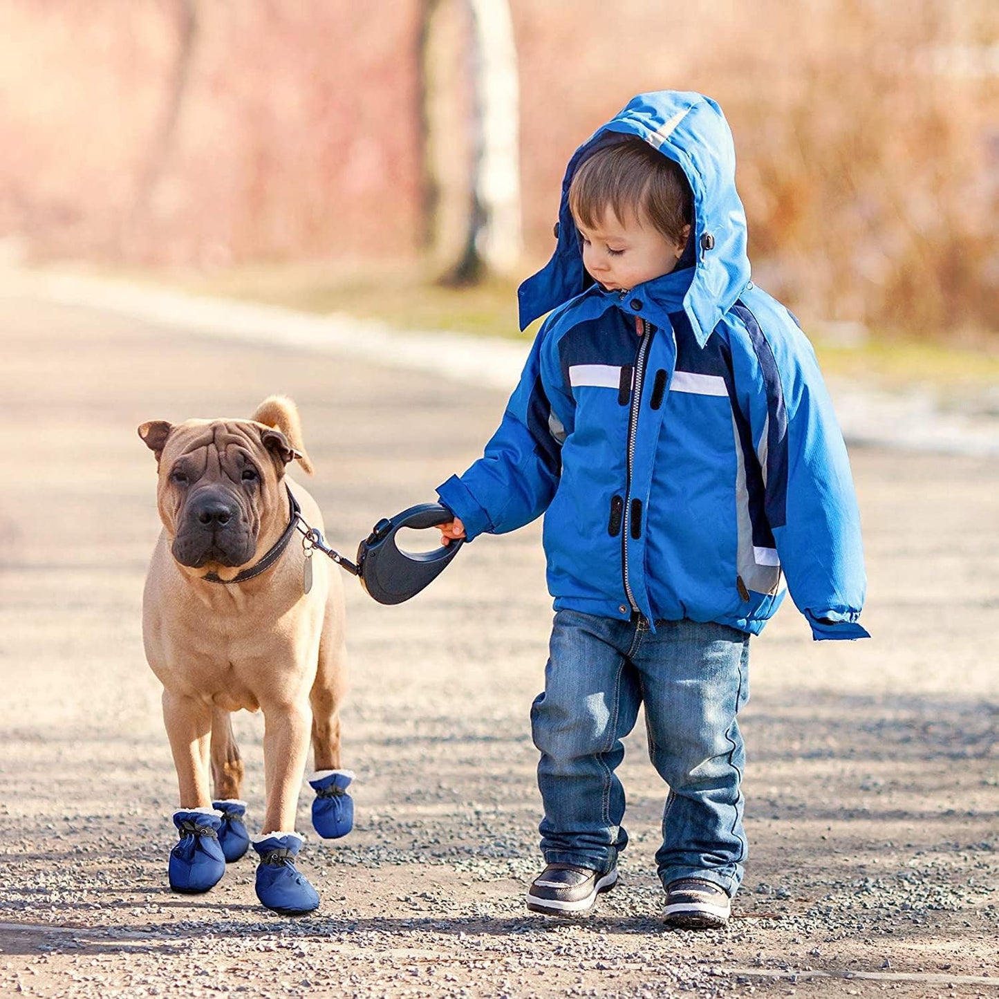 Pet Shoes - FREE SHIPPING
