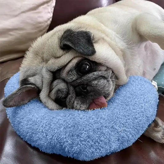 Small Pillow for Pet Cats Dogs - FREE SHIPPING