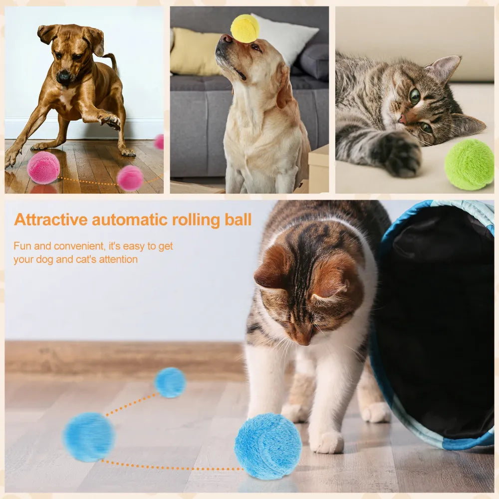 Dog Automatic Rolling Ball Toy - FREE SHIPPING