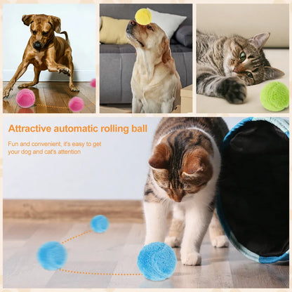 Dog Automatic Rolling Ball Toy - FREE SHIPPING