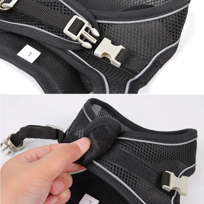 Harness Walk Kit - FREE SHIPPING