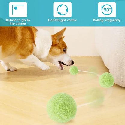 Dog Automatic Rolling Ball Toy - FREE SHIPPING