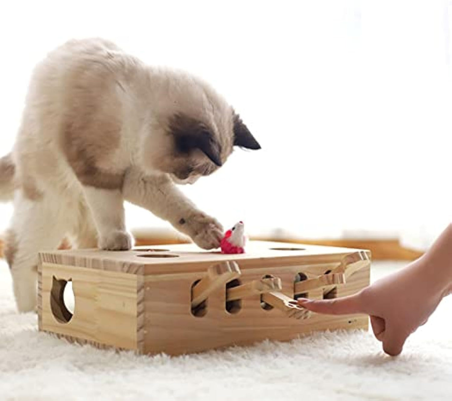 Cat Interactive Wooden Toys Whack - FREE SHIPPING