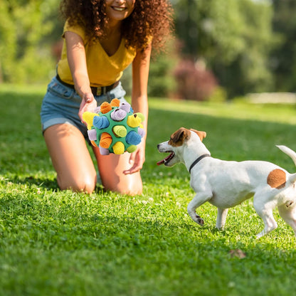 Pet Sniffing and Exploding Ball Toys - FREE SHIPPING