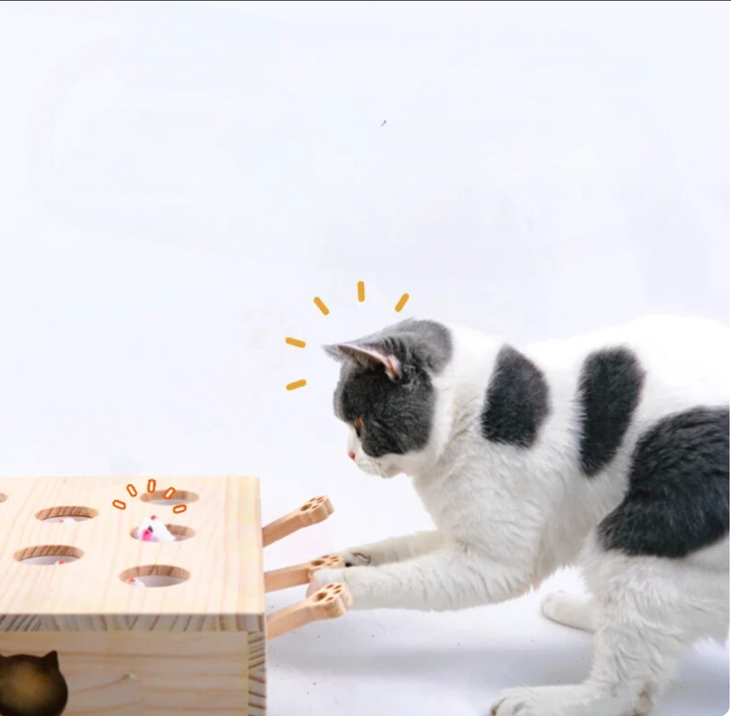 Cat Interactive Wooden Toys Whack - FREE SHIPPING