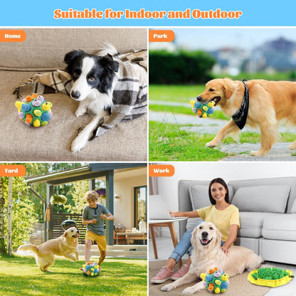 Pet Sniffing and Exploding Ball Toys - FREE SHIPPING