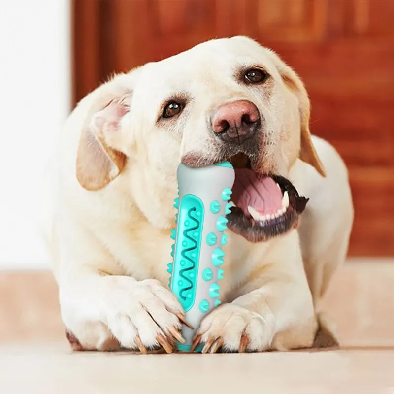 Dog Molar Toothbrush Toys - FREE SHIPPING