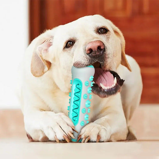 Dog Molar Toothbrush Toys - FREE SHIPPING