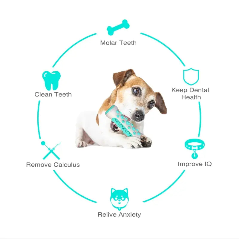 Dog Molar Toothbrush Toys - FREE SHIPPING
