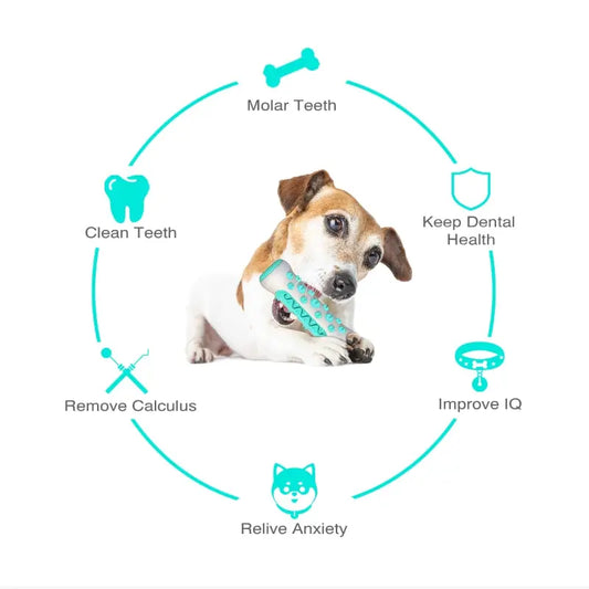 Dog Molar Toothbrush Toys - FREE SHIPPING