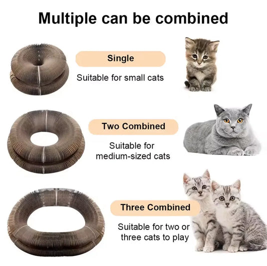 Cat Scratching Board Funny Toy - FREE SHIPPING