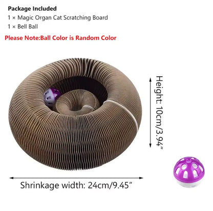 Cat Scratching Board Funny Toy - FREE SHIPPING