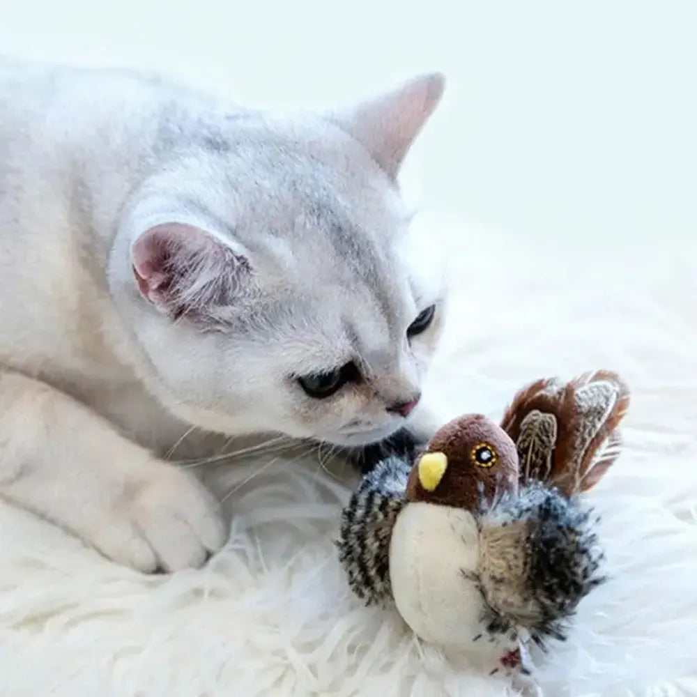 Flying Bird Cat Toy - FREE SHIPPING