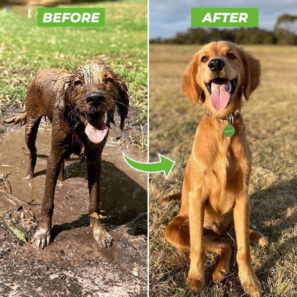Dog Washer Attachment - FREE SHIPPING