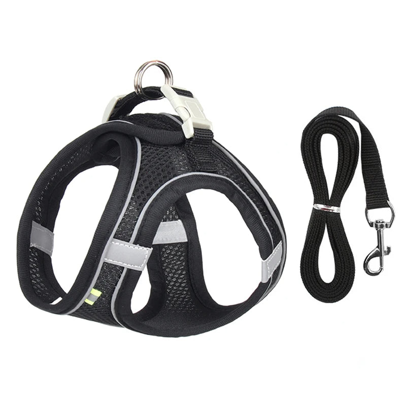 Harness Walk Kit - FREE SHIPPING