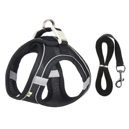 Harness Walk Kit - FREE SHIPPING