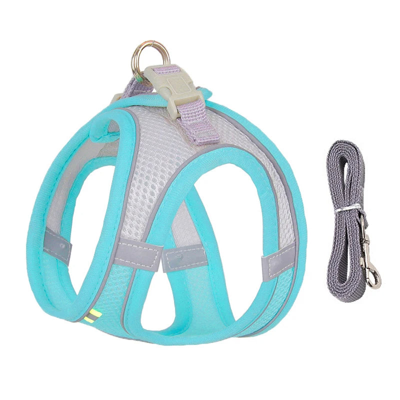 Harness Walk Kit - FREE SHIPPING