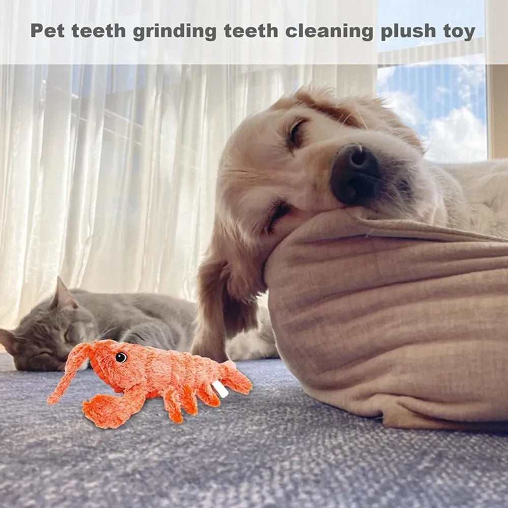 Floppy Lobster Dog, Cat Toys - FREE SHIPPING