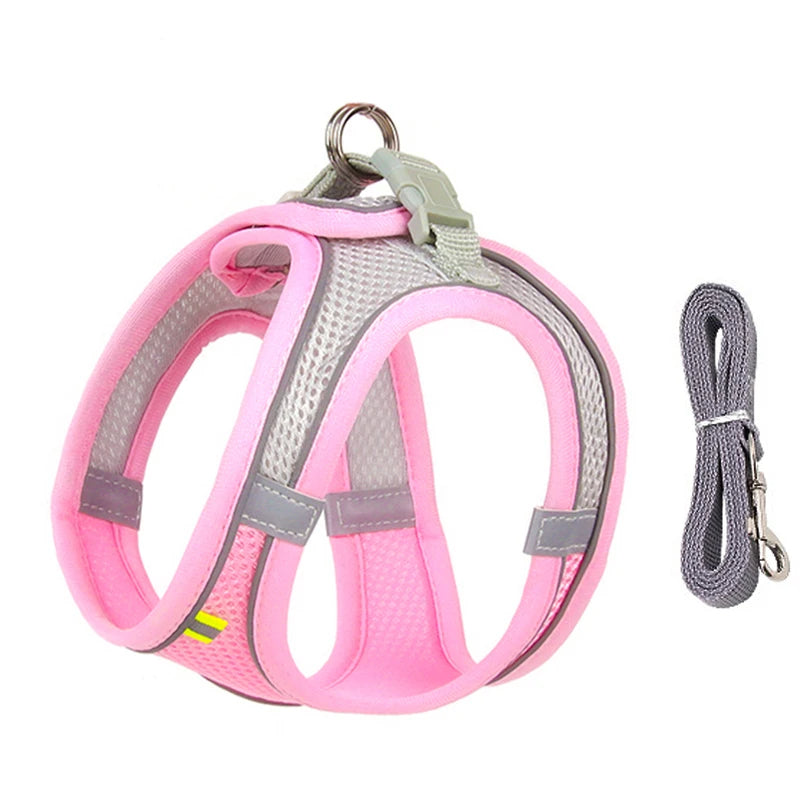 Harness Walk Kit - FREE SHIPPING