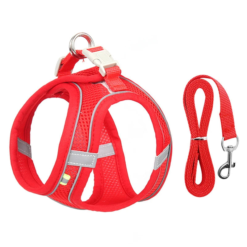 Harness Walk Kit - FREE SHIPPING
