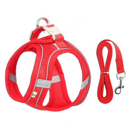 Harness Walk Kit - FREE SHIPPING