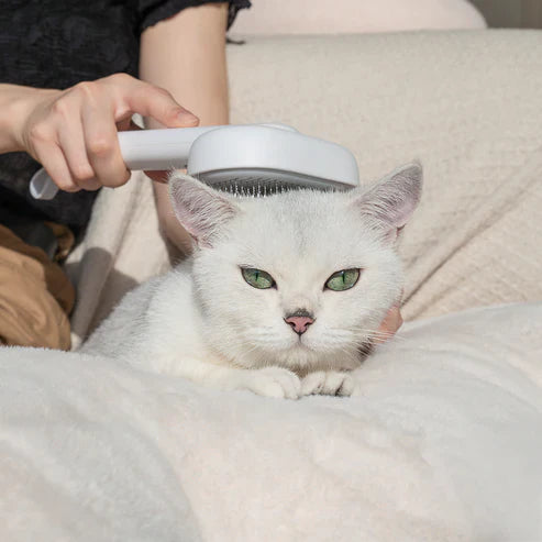 All Breeds Grooming Self Cleaning Slicker Brush - FREE SHIPPING