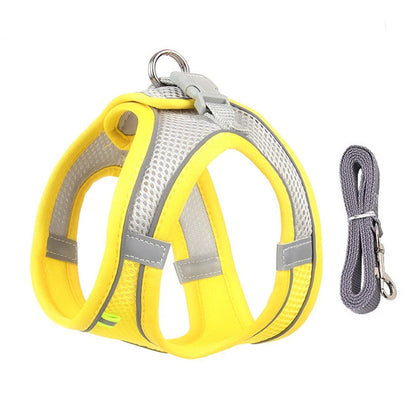 Harness Walk Kit - FREE SHIPPING